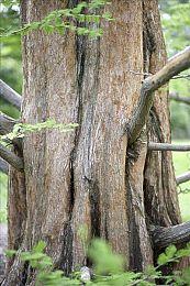 暴雪创始人老麦Mike Morhaime新作将公布 本月底来中国宣传